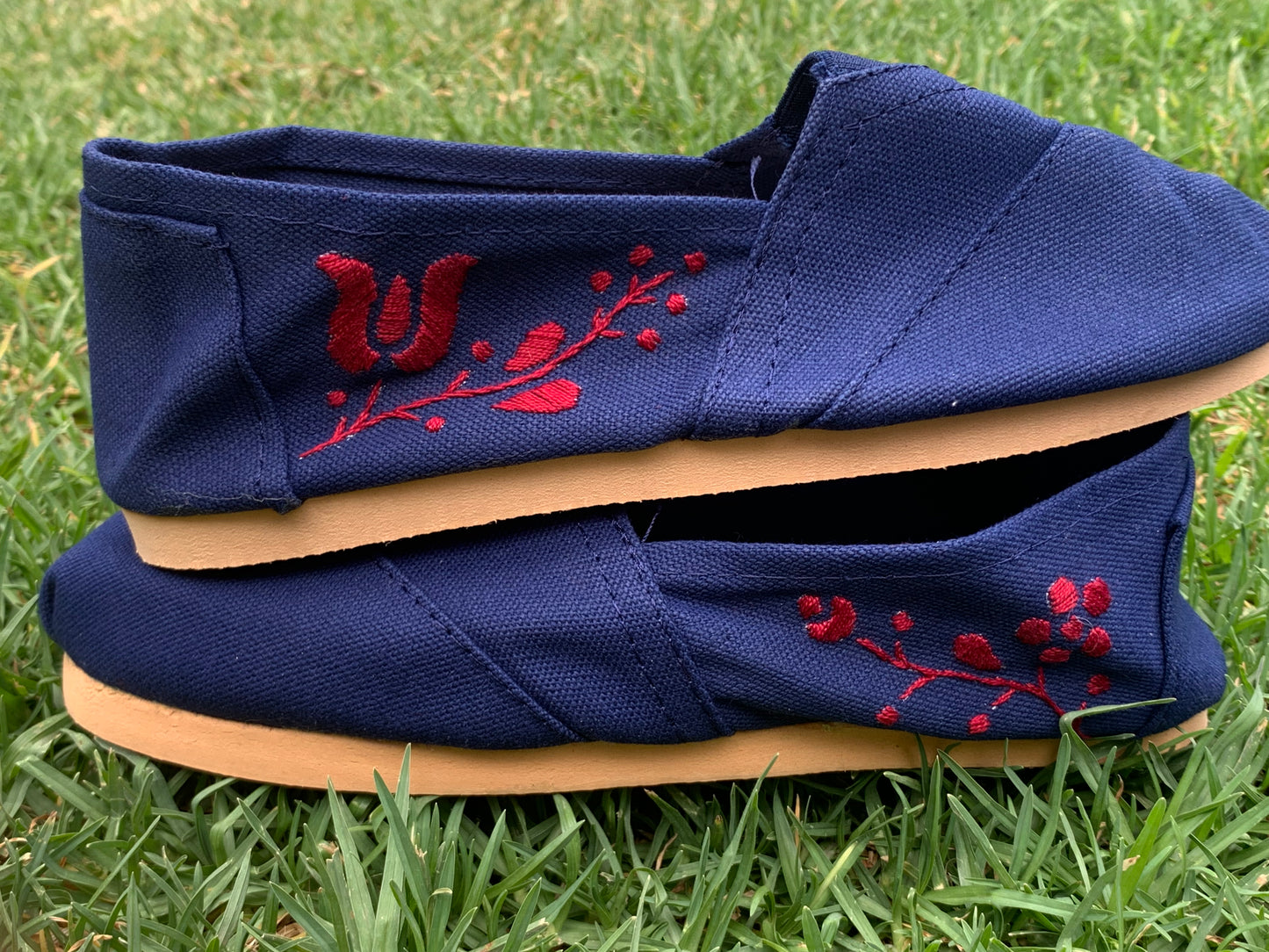 Red Blue Alpargatas