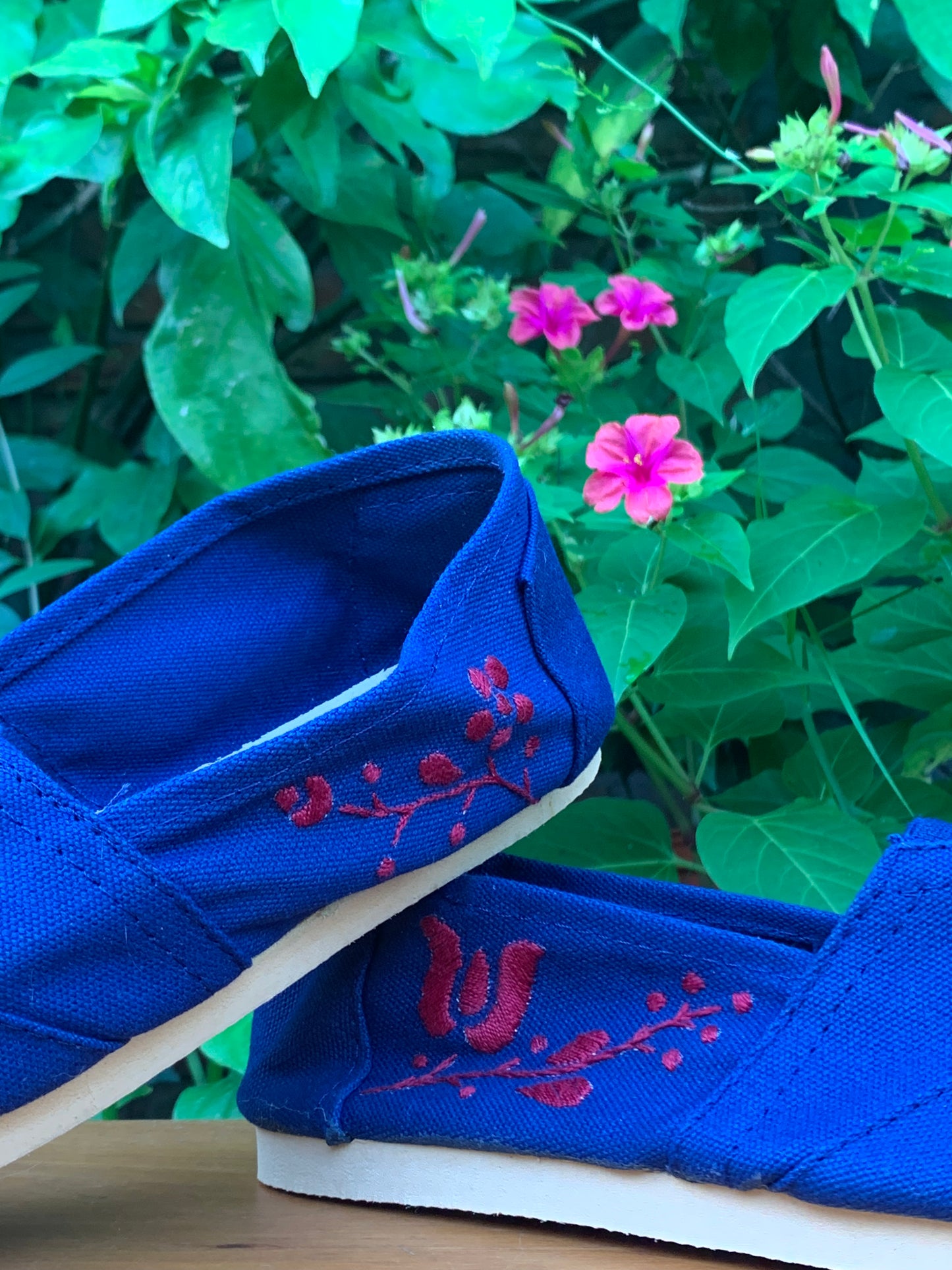 Red Blue Alpargatas