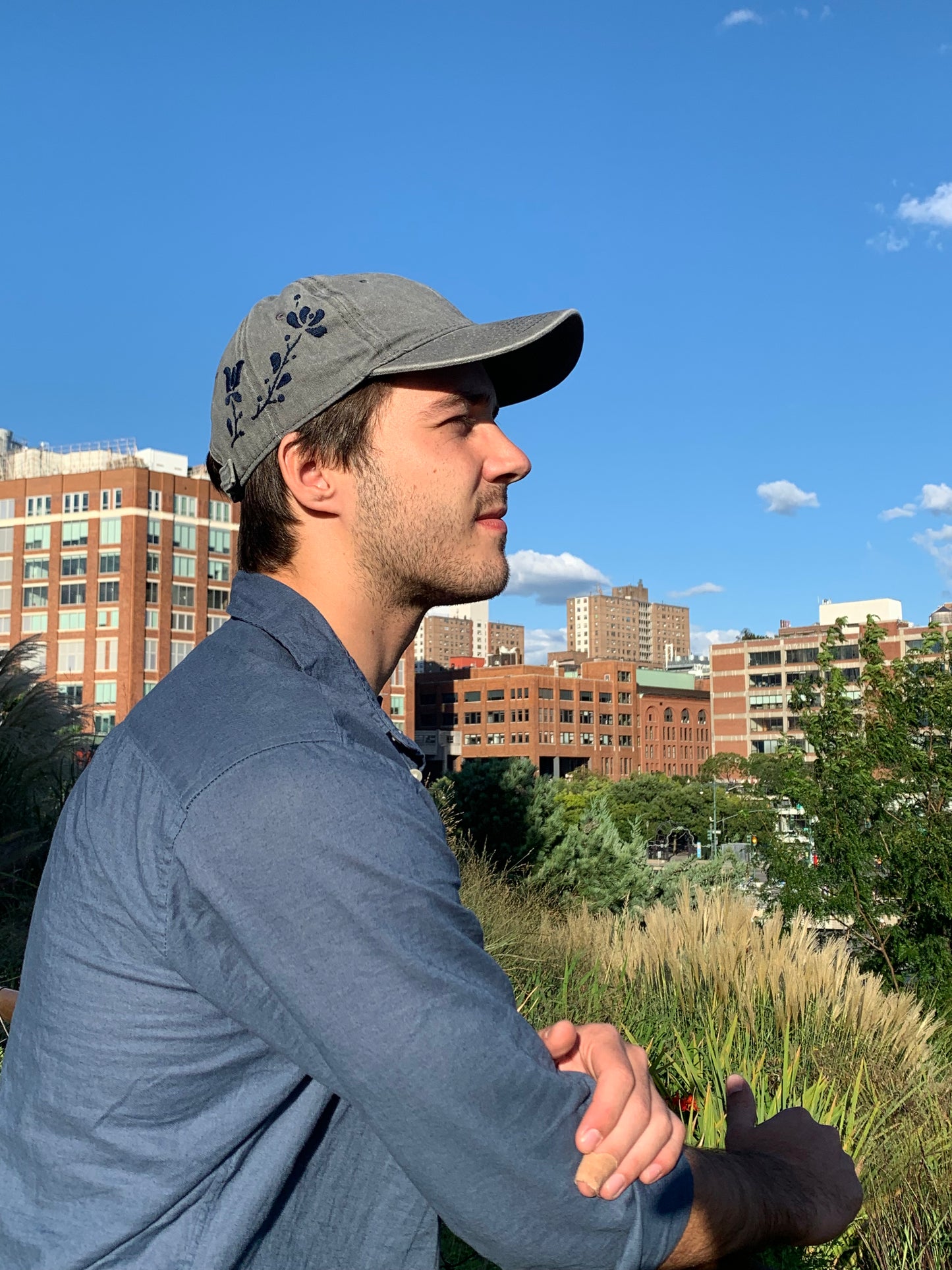 Grey with Blue Hat