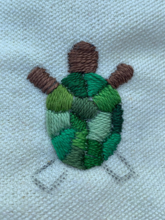 Turtle Multi