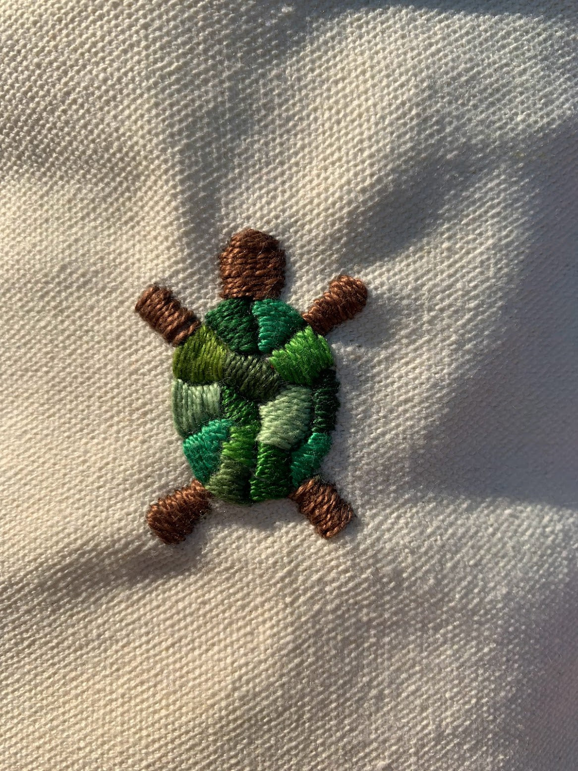 Turtle Multi