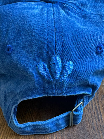 Blue Hat