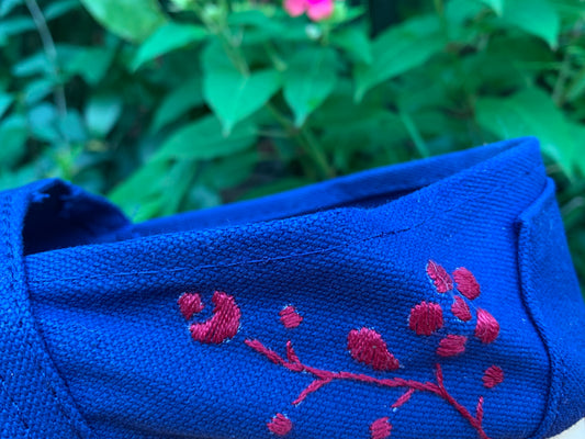 Red Blue Alpargatas