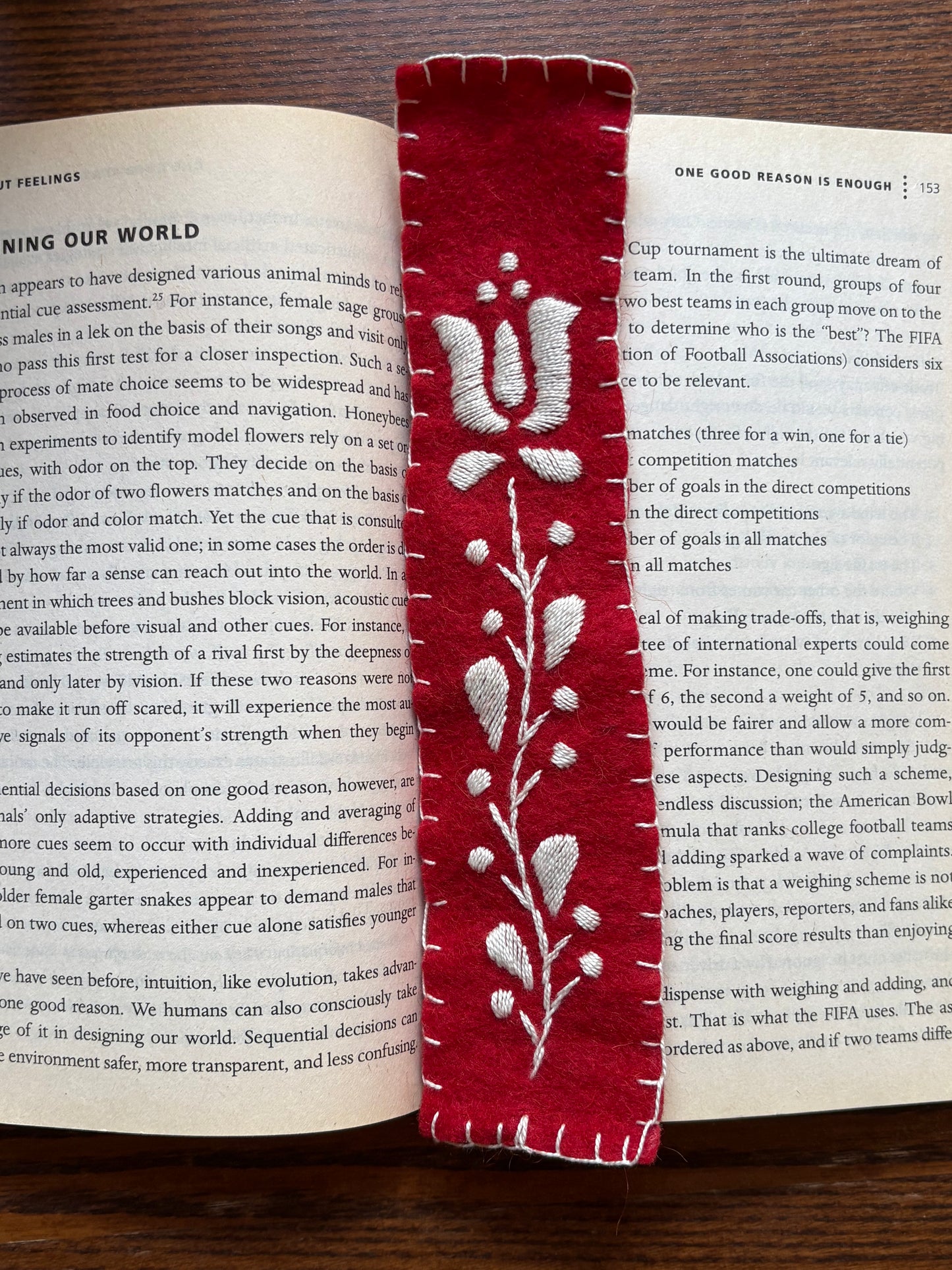 Red Bookmark